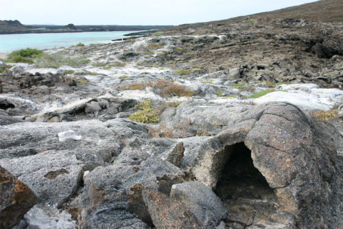 gps tunnels