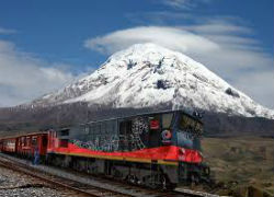 tren execut trek