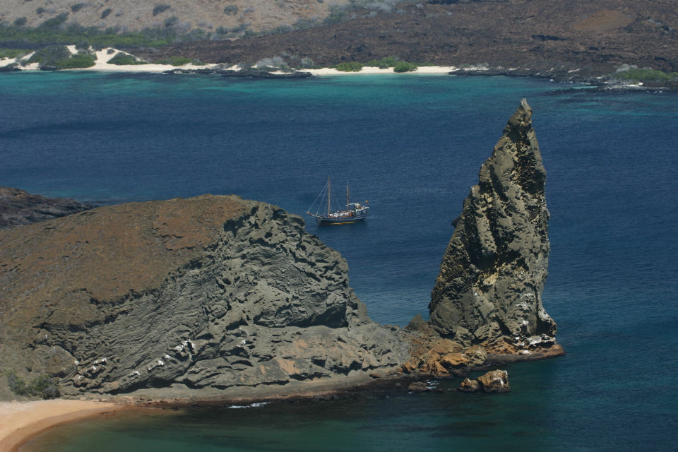 Leon Dormido Galapagos