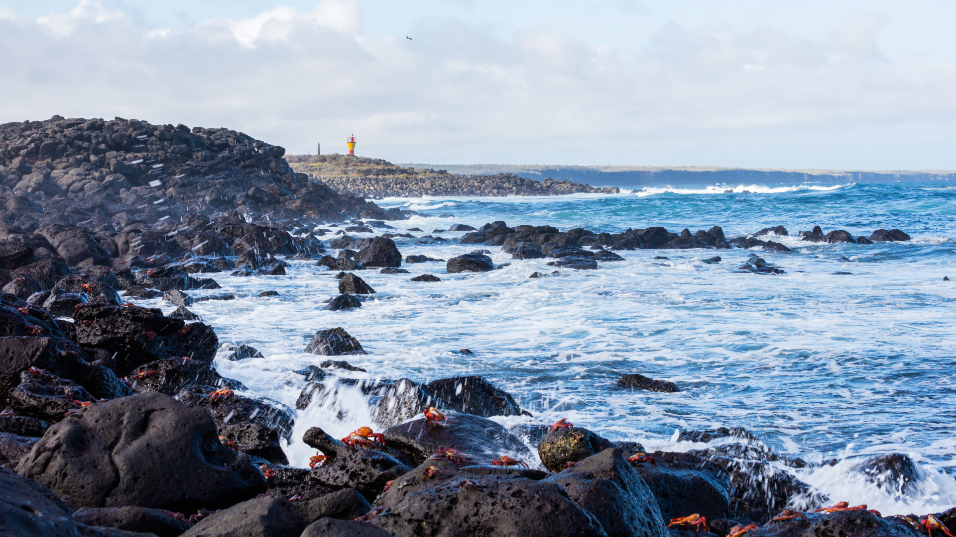 Htl Piedras Blancas